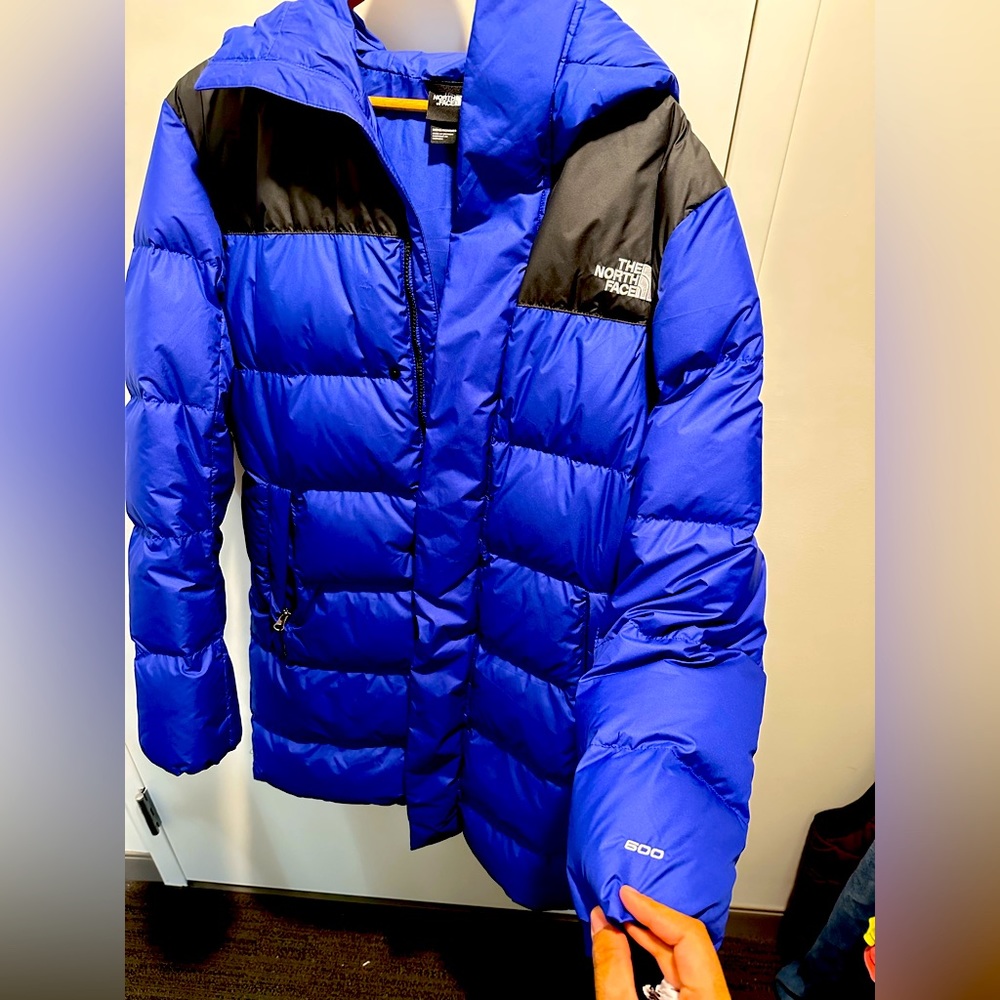 North face Hydrenalite Down Parka